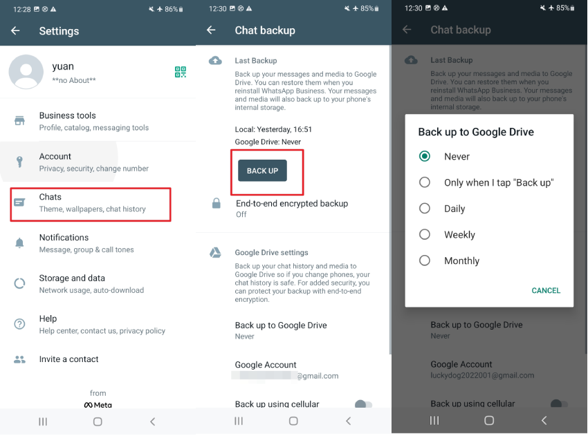 Backup WhatsApp Business a Google Drive