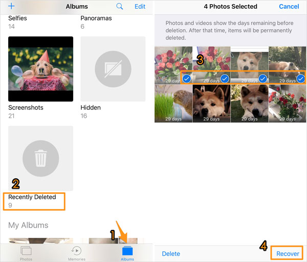 Cómo encontrar cosas eliminadas recientemente en álbumes de iPhone