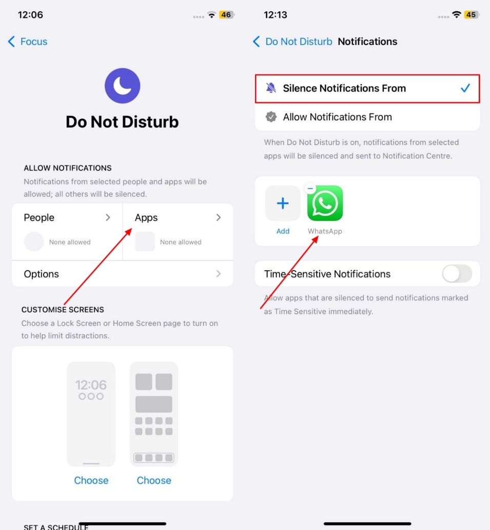 Notificaciones de silencio de WhatsApp