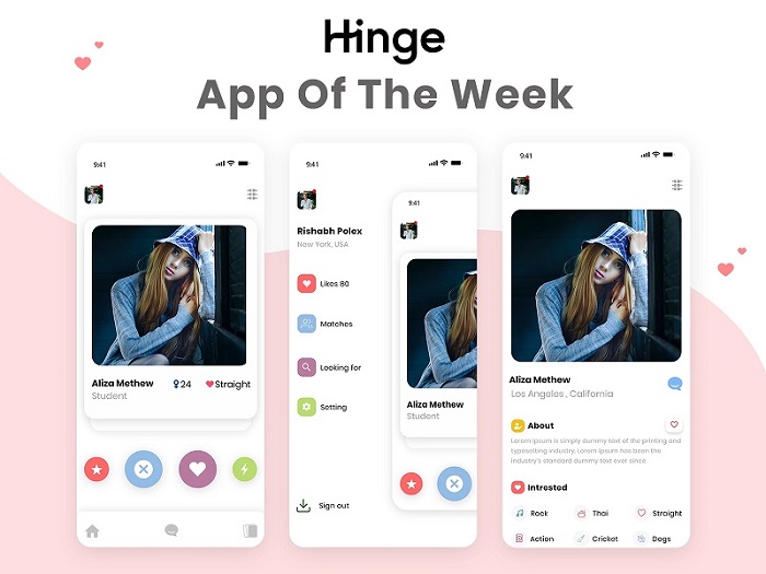 Introduction hinge.jpg