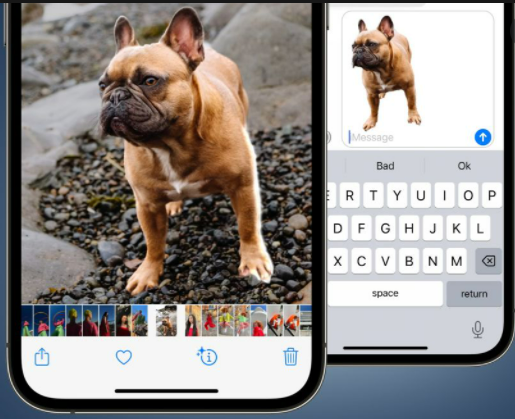 Ios 16 photo cutout.png