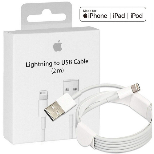 Revise su cable de iluminación y su cargador 