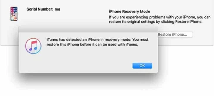 Restauración del iPhone 11 en modo DFU