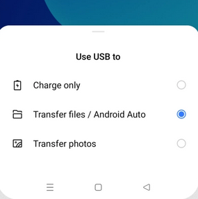 Realice una copia de seguridad y restaure Google Pixel con File Explorer