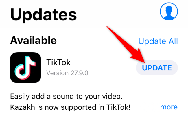 ¿Por qué no puedo buscar nada en tiktok?