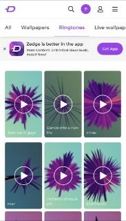 Zedge.webp.webp.webp